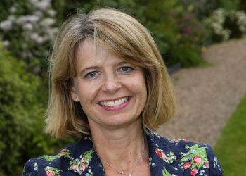 Baldwin-Harriett.Conservatives.Dec2013