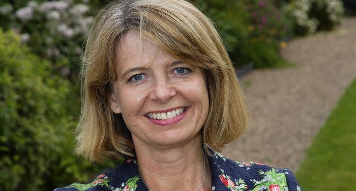 Baldwin-Harriett.Conservatives.Dec2013