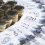 Smart Pension surpasses &pound;10bn assets milestone