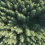 Nest commits &pound;200m to climate solutions through IFM partnership